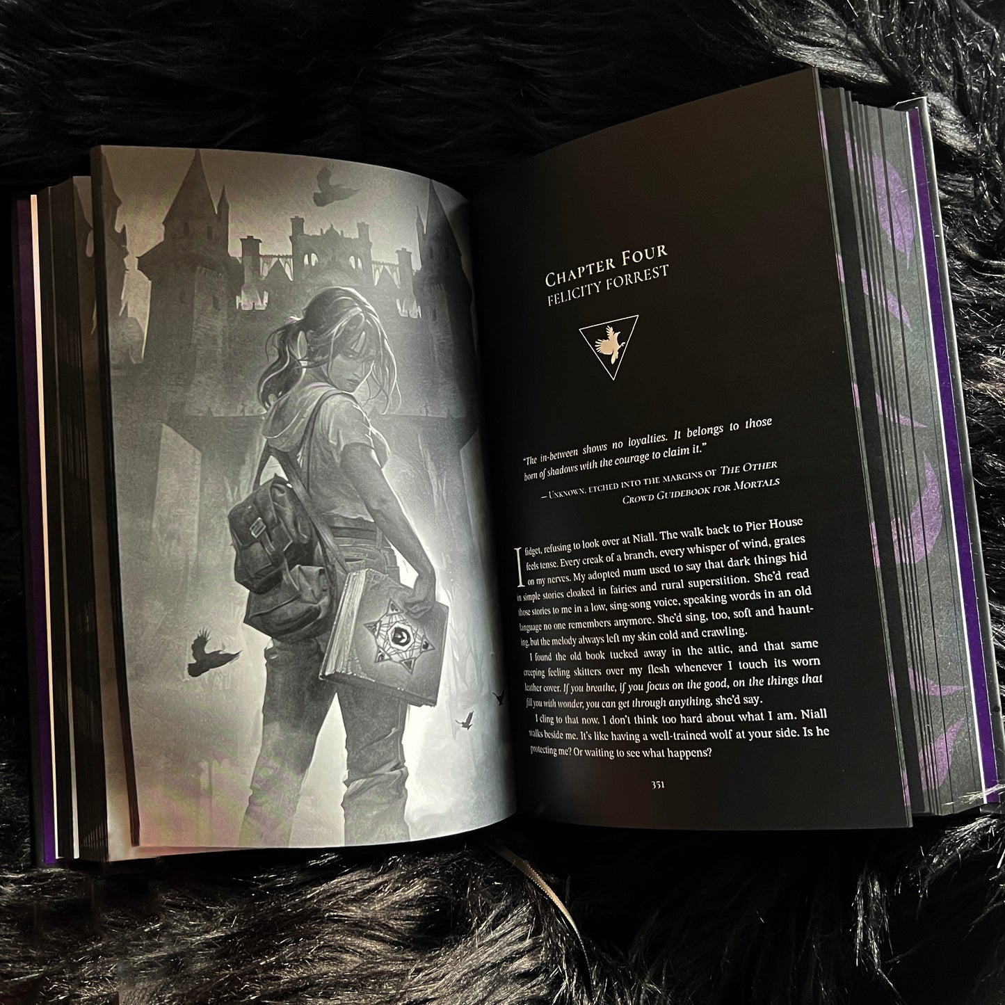 Queen of Shadows Special Edition Hardback (Morally Grey Fae Edition)