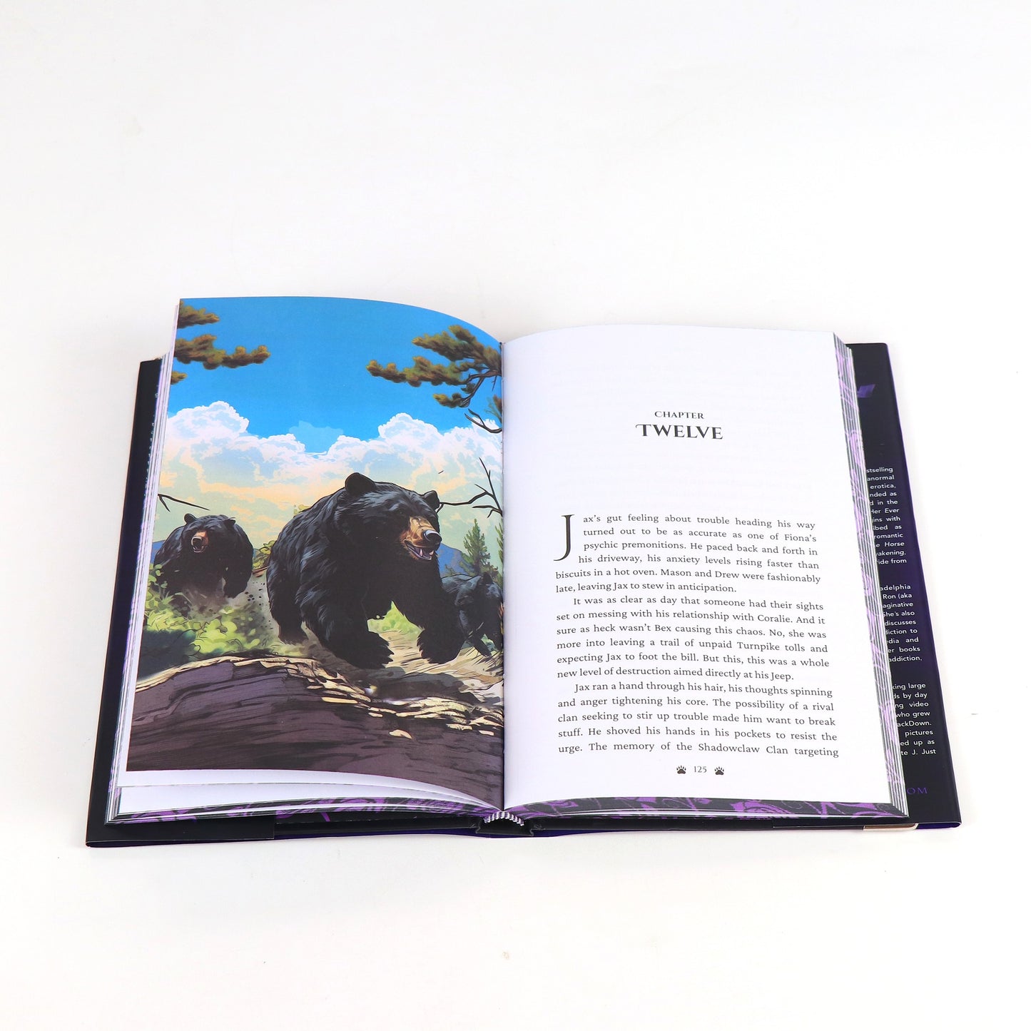 Nerd Meets Curvy · Signed First Edition Illustrated Full Color Deluxe Hardback Book Box